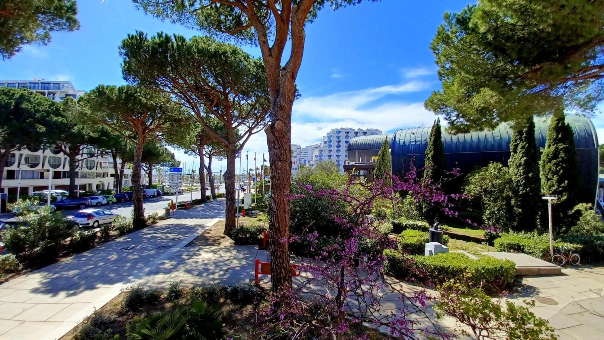 Apartment Equipe Vue Sur Port La Grande-Motte